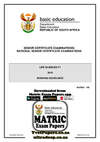 Life Sciences P1 May-June 2019 Memo Eng.pdf